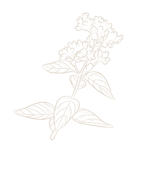 flower 1.png